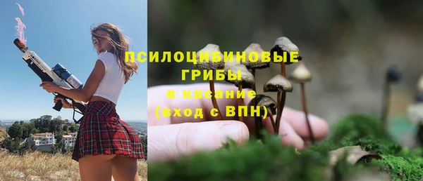 MESCALINE Медногорск
