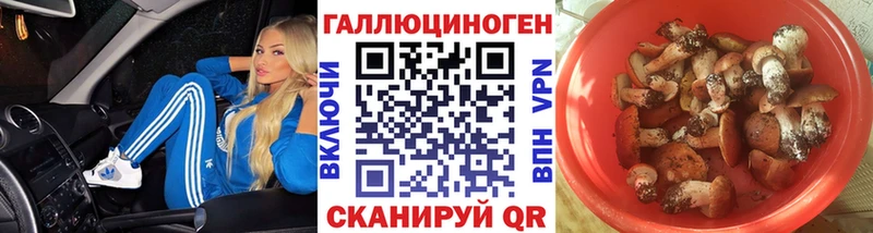 Псилоцибиновые грибы Cubensis  Сысерть 